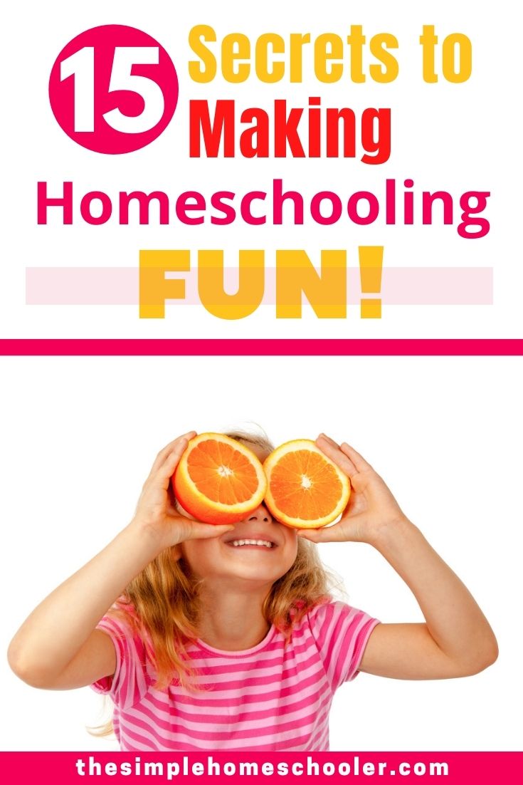 Homeschool Fun Pin